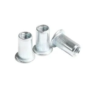 Customizable Zinc-Plated M12 Vertical Thread Screw Cap Through-Hole Cylindrical Nut Pull Rivet Flat Head Post Plastic Screws