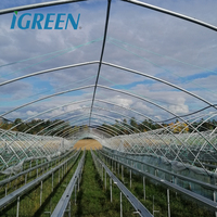 Système de culture hydroponique en gouttière à fraises de grande taille à couche unique en PE IGreen avec serre agricole multi-voûtes