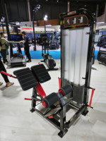 Équipement de gymnastique Pin Loaded Selection Strength Training Heavy-Duty Back Extension Machine for Professional Club