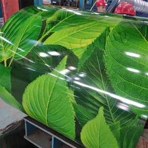 Thân Thiện Với Môi Cỏ In Màu Tráng Cuộn Dây Guv Kháng 0.25Mm-0.6Mm Ngoài Trời Sử Dụng Mô Hình Cỏ Màu Tráng Cuộn Dây - Product Image 5