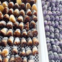 Mini amas d'améthyste brésilien géode spécimen minéral artisanal à vendre