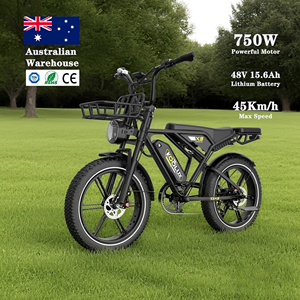 จักรยานเสือภูเขาไฟฟ้า 750w รุ่น Retro Fat Tire Dirt Bike 48VEbike Mountain X9 สำหรับ EU ออสเตรเลีย FATBIKE ดรอปชิป 700 วัตต์ - Product Image 3