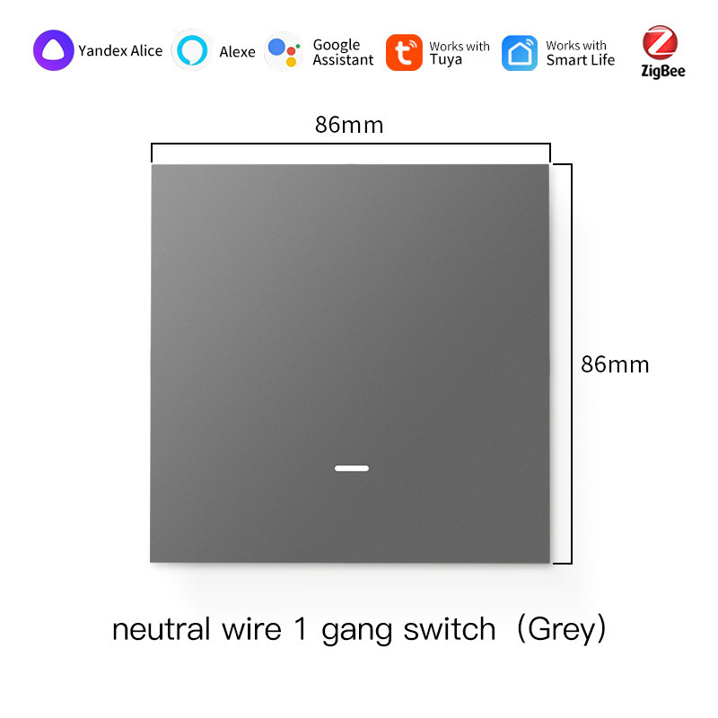 1gang