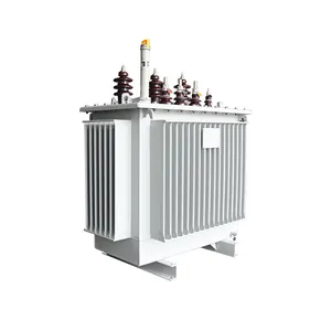 [Kunden] SNTOOM 11KV Power Transformator 1000KVA Öl Eingetaucht Elektronische Transformator