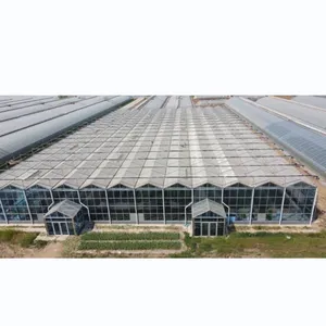 Landwirtschaft Glasgewächshaus mit Polycarbonat-Dachabdeckung Glaswand Gewächshaus Garten Gewächshaus zu verkaufen