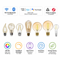 Ampoule LED à filament WiFi intelligente E26 E27 B22 CRI 90+ 2700-6500K Contrôle par application Compatible avec Alexa Google Home