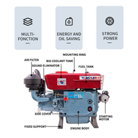 Moteur diesel monocylindre refroidi par eau Tengka Changfa Changchai 12 CV 13 CV Zs195 pour concasseur à marteaux, démarrage au pied, Euro