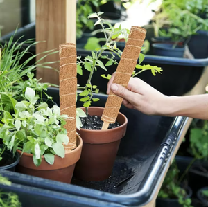 Poteau <span class=keywords><strong>en</strong></span> mousse moderne et flexible pour plantes d'intérieur, grand modèle, pour tortues et bambous, support de croissance pour plantes - Product Image 3