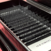Cils Individuels Vegan/7-15mm Noir Mat Coréen PBT Fibre Extension de Cils Cachemire Lash Tray Private Label Extension de Cils
