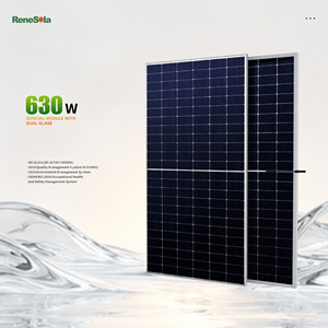 Módulo Solar Bifacial Tipo N de 630W <span class=keywords><strong>ReneSola</strong></span> en Stock con Paneles de Doble Vidrio - Product Image 1