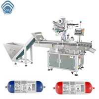 Machine d'étiquetage automatique de saucisses à grande vitesse SKILT, équipée d'un élévateur et d'un servomoteur, machine d'étiquetage horizontale