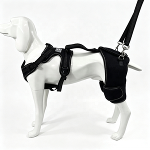 Attelle de soutien pour hanches de <span class=keywords><strong>chien</strong></span> <span class=keywords><strong>en</strong></span> néoprène pour dysplasie de la hanche, arthrite, douleurs à la hanche, boîteuse des pattes arrière et douleurs lombaires, avec sangle de levage arrière à boucle - Product Image 1