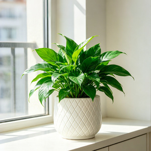 Grand couvercle de <span class=keywords><strong>pot</strong></span> de fleurs sur pied pour plantes en terreau, résistant aux chocs, en PE épaissi, design minimaliste de style européen - Product Image 4
