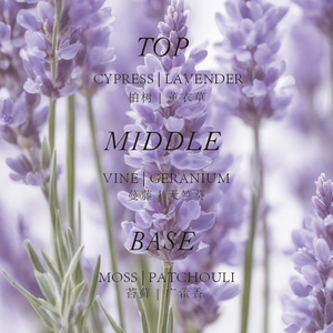 <span class=keywords><strong>Perfume</strong></span> Original de Lujo de Diseñador Personalizado para Discoteca, Eau De Parfum Floral Amaderado Salvaje al por Mayor del Fabricante - Product Image 6