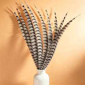 Plumes de faisan naturelles à longue queue pour costumes de carnaval, décoration intérieure, coiffes de mariage et centres de table pour vases. - Product Image 6