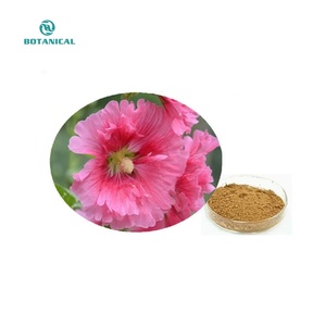 B.C.I. Fornitura Estratto Naturale di Erbe 10:1 Polvere di Radice di <span class=keywords><strong>Malva</strong></span>/Althaea Officinalis - Product Image 5