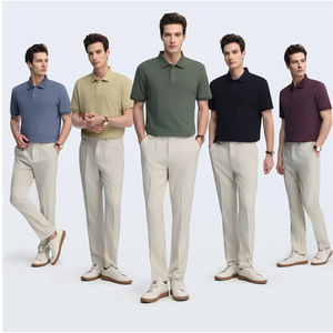 Polo en coton pour homme, tricot fin, anti-rides, tenue d'affaires estivale - Product Image 1