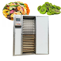 Fruitdroger Vleesdroger Machine Fruit- en Groentedroger Machine voor fruit en groenten