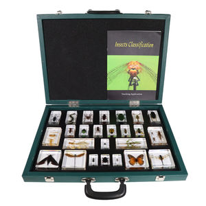 Hot Selling Taxidermie Presse Acryl Insecten Classificatie Hars Specimen Educatieve Hulpmiddelen Voor Het Lesgeven - Product Image 1
