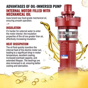 <span class=keywords><strong>Pompe</strong></span> submersible à immersion dans l'huile en fonte, série QY, norme GB, antidéflagrante, 3 CV, grand volume, pour irrigation agricole - Product Image 5