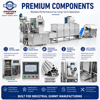 Volledig automatische gummy-maakmachine voor de productie van fruit-sap gummy's & vitamine gummy's