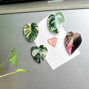 Imanes Acrílicos para Refrigerador con Diseño de Hojas de Plantas, Simulación de Hojas de Princesa Rosadas, Proceso de Goteo de Pegamento de Alta Calidad - Product Image 4