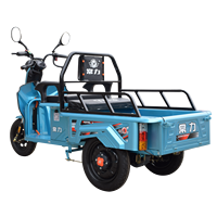 Chang li – Mini Scooter électrique à trois roues, Tricycle avec toit pour adulte, noir, vert, argent, corps moteur acide, puissance B