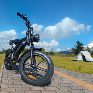 V20 20 Inch Chấ<span class=keywords><strong>t</strong></span> Béo Lốp Fatbike 750W Ebike Xe Đạp Xe Đạp Điện Điện Thành Phố Xe Đạp Để Bán - Product Image 6