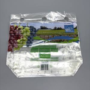 Custom <strong>Printed</strong> Twisted Handle Bag for Grapes Perforated Bags for Fruits and <strong>Vegetables</strong> Biodegradable Grape Bag - Product Image 3