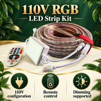 Kit de Bande LED RVB 5050 110V IP65 en PVC, 60 LED/m avec Télécommande, Raccords Moulés et Fonction Dimmable pour l'Éclairage de Divertissement