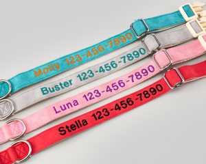 Collier pour chien en daim bleu sarcelle brodé avec nom et coordonnées personnalisés, laisse multicolore réglable - Product Image 6