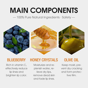 Gommage pour les lèvres au miel et à l'aloe vera biologique vegan en marque propre, sans paraben, exfoliant nourrissant, hydratant, nettoyage en profondeur - Product Image 3