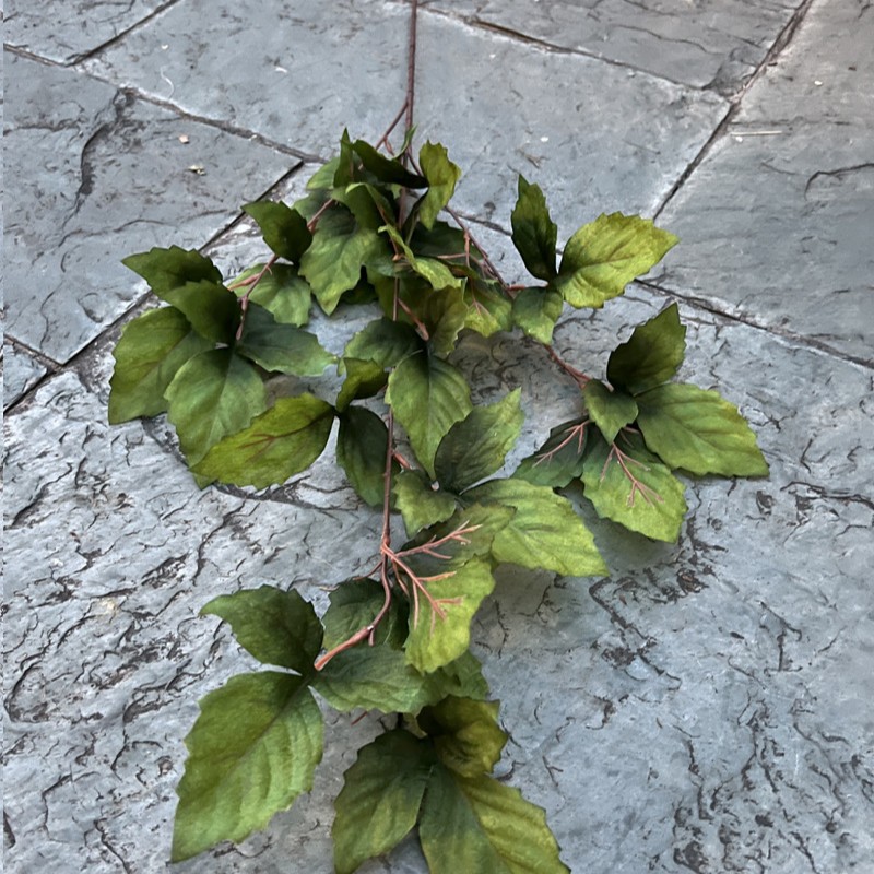 3 fourchettes de feuilles de Tianzhu