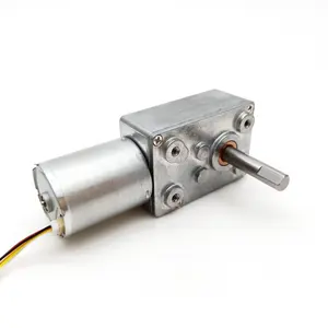 Tt motor gigi cacing dc motor 12V DC drive TWG3246-TEC2430 motor dc tanpa sikat