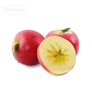 Nouvelle récolte Type de produit de fruits de style frais chinois pomme Fuji rouge