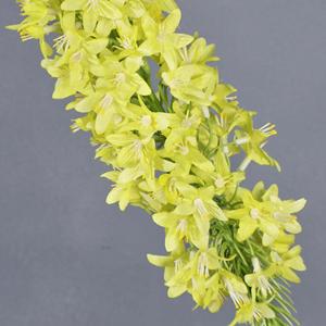 Flores Artificiales de Larkspur Meng Jie de 100cm y 200cm, Blancas y Verdes, Decoración para Bodas y Hogar - Product Image 3