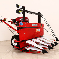 Rosemary Harvester Micro coupe fourragères largeur de coupe 800mm andaineur marche moissonneuse à vendre