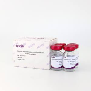 Maladie infectieuse bursale (MII) AGP Sérum positif-pour test d'immunodiffusion sur gel d'agar, titre élevé d'anticorps, norme OIE - Product Image 4