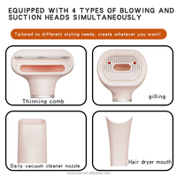 Aspirateur et peigne tout-en-un pour poils d'animaux, aspiration et peignage intégrés pour chatons et chiots, emballage personnalisé possible