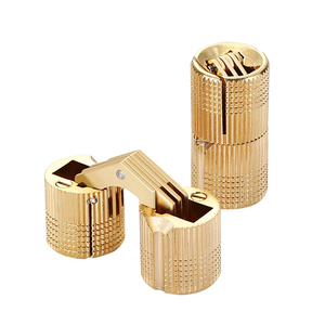 Brass <b>Concealed</b> Cross Hinged Cabinet Door Hardware 2.5 Mm Flush Mount Minimalist Design One Piece Hinge For Furniture - Product Image 1