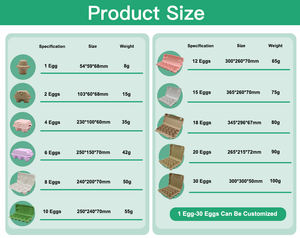 Carton à œufs de 30 œufs, support à œufs en gros, personnalisé, biodégradable, 30 cellules, 30 trous, cartons à œufs de poule, 30 paquets de plateaux à œufs pour 30 œufs - Product Image 2