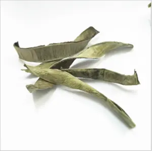 Lu Hui Ye Bulk 100% Natural Dried Chinese Herb Fresh Aloe Vera Leaves