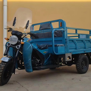 Tricycle utilitaire à essence motorisé à 3 roues | Charge maximale de 1200 à 1500kg pour le transport de marchandises | Tricycle de moto - Product Image 3