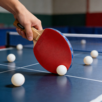 Ensemble de raquettes de ping-pong portables de niveau professionnel Taspo, en bois de peuplier noir durable et élastique, base en 17 couches, respectueux de l'environnement