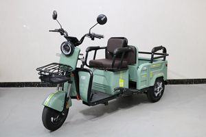 Acheter à bas prix 3 roues 2 sièges de la mobilité électrique Scooter tricycle pour adultes pour handicapés - Product Image 6