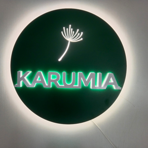 Bobcat ODM/OEM Outdoor Led Light Box Sign Indoor Wall 3d Round Acrylic Letter Signage Led Advertising Light Box