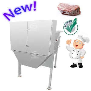 Baiyu mesin Flaker daging beku otomatis Output tinggi Flaker daging beku industri