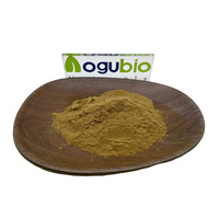 Extrait de bergamote menthe de haute qualité fourni par l'usine, 10:1, poudre d'extrait de bergamote pure et naturelle