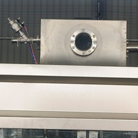 Machine de remplissage entièrement automatique pour sauce tomate/ketchup, pompe rotative à tête unique pour liquides épais