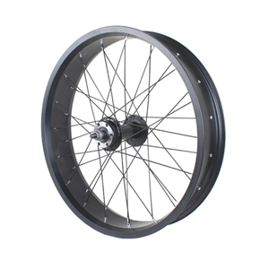 135mm Open Maat 20 Inch Vet 20x4.0 Elektrische E-<span class=keywords><strong>Bike</strong></span> Fiets Sneeuwfiets Accessoires Onderdelen Spaak Voorwiel met As - Product Image 1